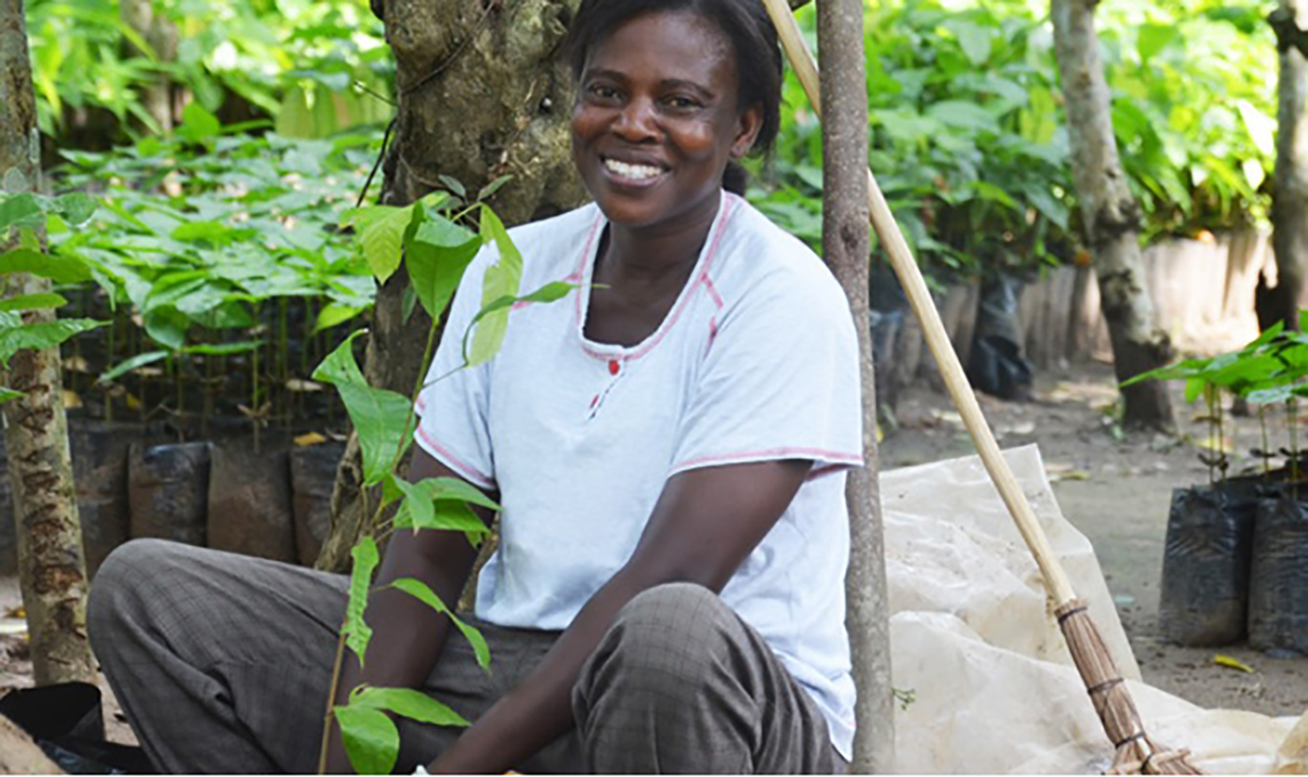 Mondelez's Cocoa Life progress report ICI Cocoa Initiative